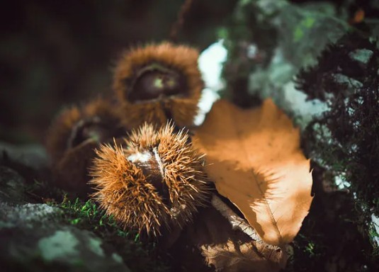 1743563784432487.jpg 責任.jpg